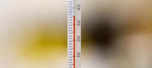 climate controlled self storage